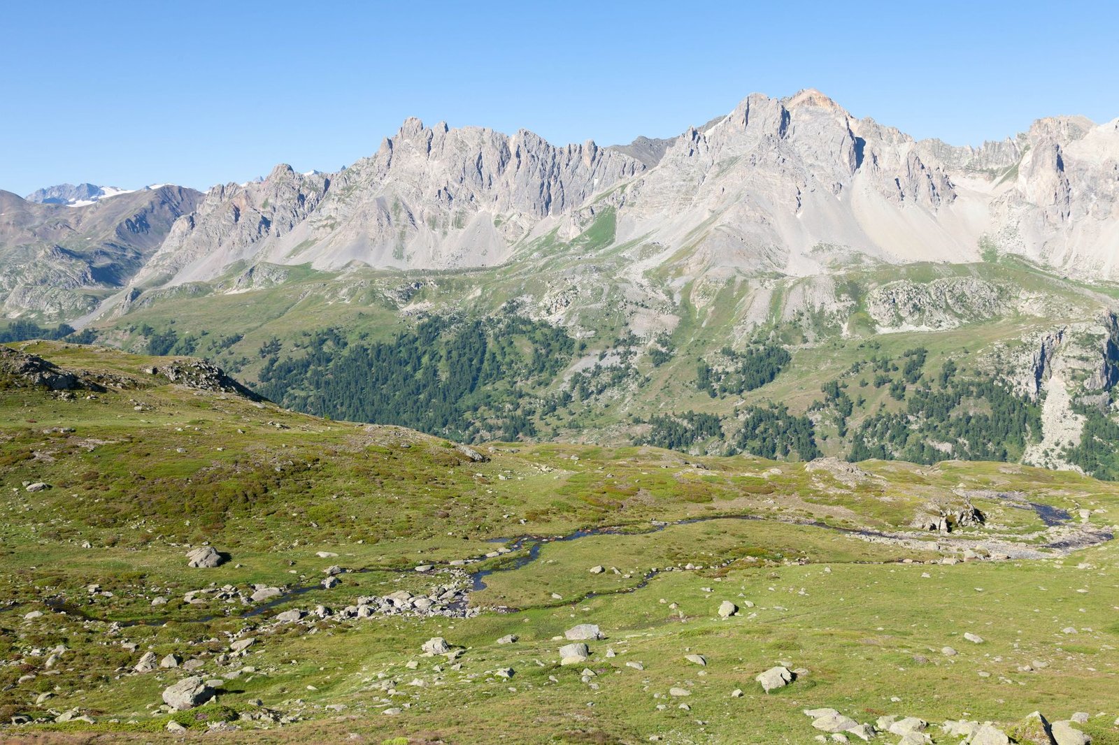 grassland in valley in mountains