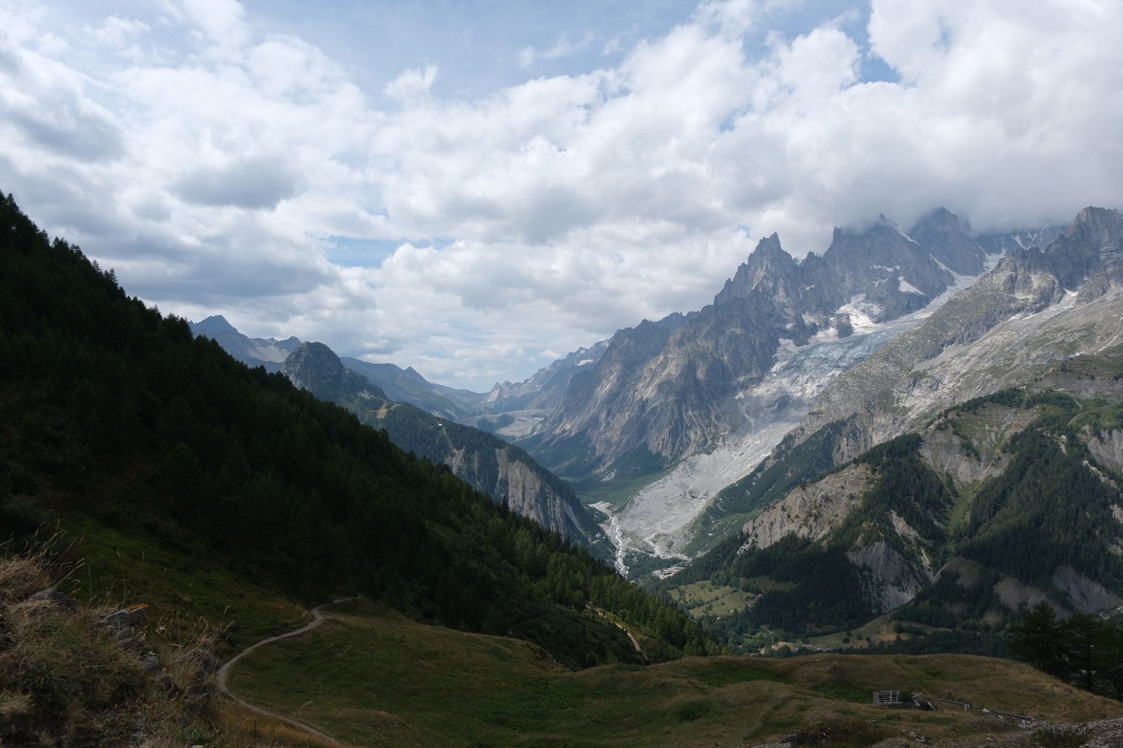 mountain range with a forest