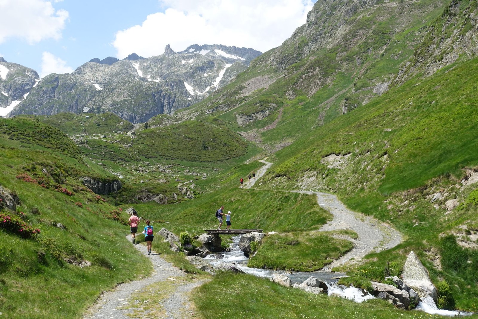 scenic mountain hike in lush alpine valley